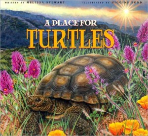 Place for Turtles