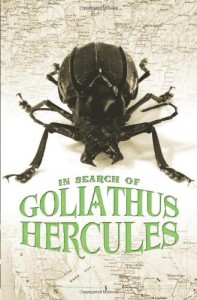 In Search of Goliathus Hercules